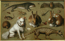 L. Tom Ring, Animal picture / 1560 by klassik art