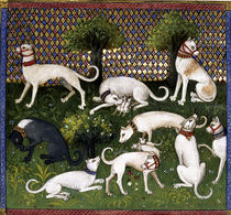 Hunting dogs (Alan) / Livre de la Chasse by klassik art