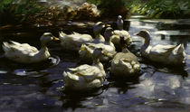 Alexander Koester, Ducks in the pond by klassik art