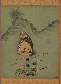 Butterfly / Indian Miniature / 17th Cent by klassik art