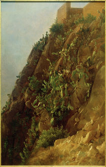 C.Morgenstern, Opuntien am Hang auf Capri by klassik art
