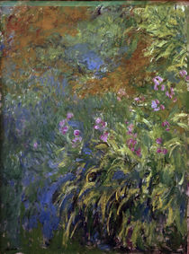 Monet / Irises along pond / Painting by klassik art
