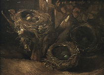 v. Gogh / Bird’s nests / 1885 by klassik art
