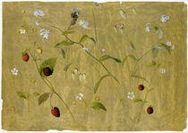Senff / Erdbeeren u. Vergißmeinnicht/1827 von klassik art
