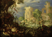 R.Savery, exotic birds, landscape / painting by klassik art