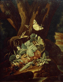 Johann Falch, Insekten, Schnecken und Schlange by klassik art