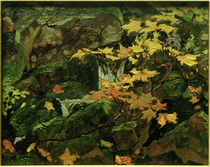 Woodland Brook, Algoma / J.E.H.MacDonald / Painting, 1918 by klassik art