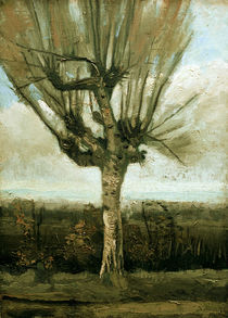 v. Gogh, Kopfweide von klassik art