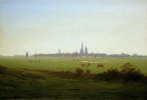 Friedrich / Meadows near Greifswald/c. 1815 by klassik art