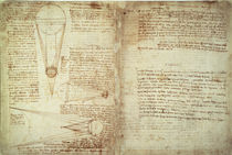 Leonardo da Vinci, Pages from Cod. Hammer by klassik art