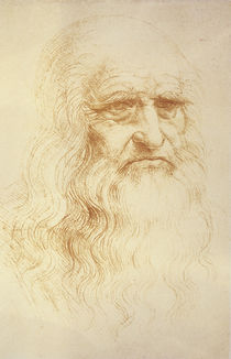 Leonardo, Self-portrait Turin by klassik art