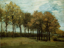 v. Gogh, Herbstlandschaft von klassik art