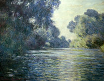 C.Monet, Arm der Seine bei Giverny von klassik art