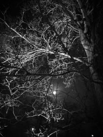 Vollmondnacht im Winter von mindfullycreatedvibrations