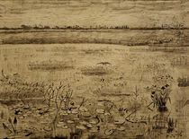V. van Gogh, Marsh w. Water Lillies/ 1881 by klassik art