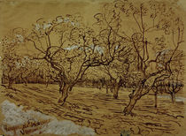 V. van Gogh, Orchard / Drawing / 1888 by klassik art