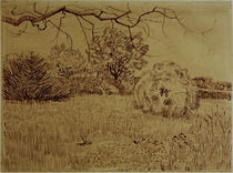 V. v. Gogh, Field w. Shrub / Drawing / 1888 by klassik art
