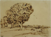 V. v. Gogh, Landscape w. House & Trees/1888 by klassik art