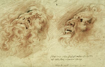 P.P.Rubens, Studies of Head of Laocoon by klassik art