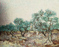 Van Gogh / Olivenpflücker/ 1889 von klassik art