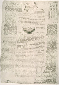 Leonardo / Lautbildung / Zunge / fol. 114 v by klassik art