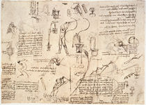 Leonardo / Bewegungsstudien u. a./f. 119 v von klassik art