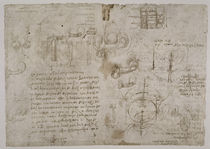 Leonardo / Koitus irrtüml. Studie u. a. f125r by klassik art