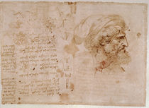 Leonardo / Botanik / Augenheilkunde / fol. 126v von klassik art