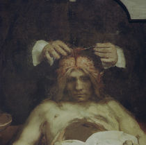 Rembrandt, Anatomie des Dr. J.Deijman by klassik art