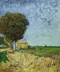 V. v. Gogh, Avenue near Arles by klassik art