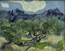 V. van Gogh, Olivenbäume mit Les Alpilles von klassik-art