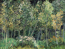 van Gogh / Small forest / July 1890 by klassik art