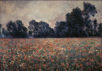 C.Monet, Mohnblumen bei Giverny von klassik art