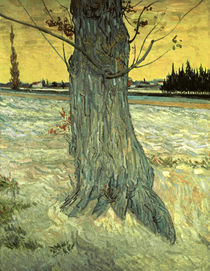 Van Gogh / Der Baum/ 1888 von klassik art