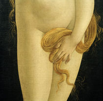 S.Botticelli (Workshop) / Venus by klassik art