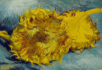 Van Gogh / Zwei abgeschnittene Sonnenbl. von klassik art