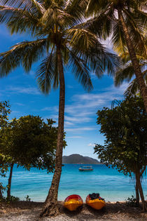 Insel Fitzroy Island Australien by Andreas Stammer