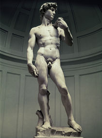 David / Michelangelo / Buonarroti by klassik art