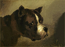 Head of a Bulldog / Th. Géricault / Painting 1812 by klassik art