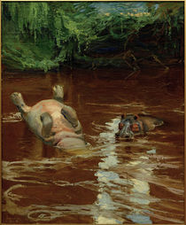A.Gallen-Kallela, Flusspferde im Tana von klassik art