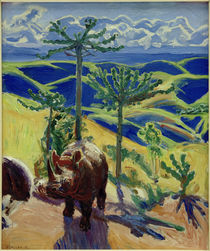 A.Gallen-Kallela, Erlegtes Rhinozeros by klassik art