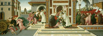 Last Miracle and the Death of St Zenobius / Botticelli / Painting, c.1500 by klassik art