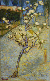 van Gogh, Pear Tree in Blossom by klassik art