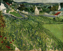 van Gogh / Vineyards at Auvers / 1890 by klassik art
