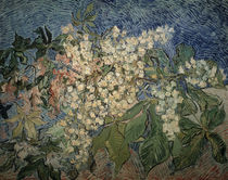 van Gogh / Blossoming Chestnut Branches by klassik art