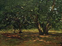 Monet / Forest of Fontainebleau by klassik art