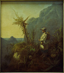 Carl Spitzweg, The Explorer in the Tropics by klassik art