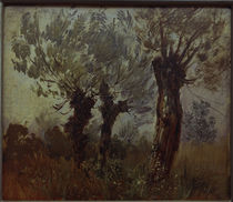 Busch / Three Old Willow Trees /  c. 1875 by klassik art