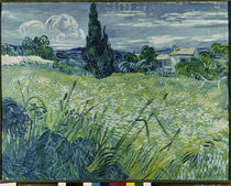 Van Gogh / Grünes Weizenfeld mit Zypresse von klassik art