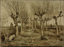 V. van Gogh, Pollard Birches / Draw./1884 by klassik art